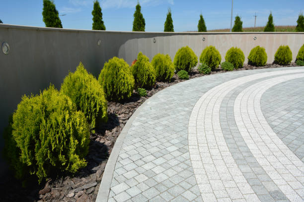 Best Residential Paver Driveway  in Holden Heights, FL