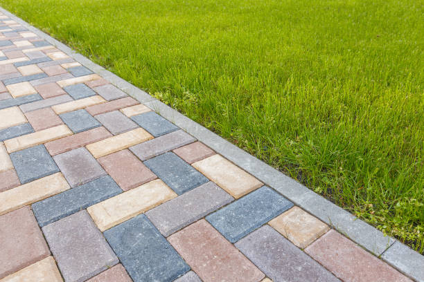Best Best Driveway Pavers  in Holden Heights, FL